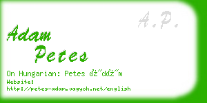 adam petes business card